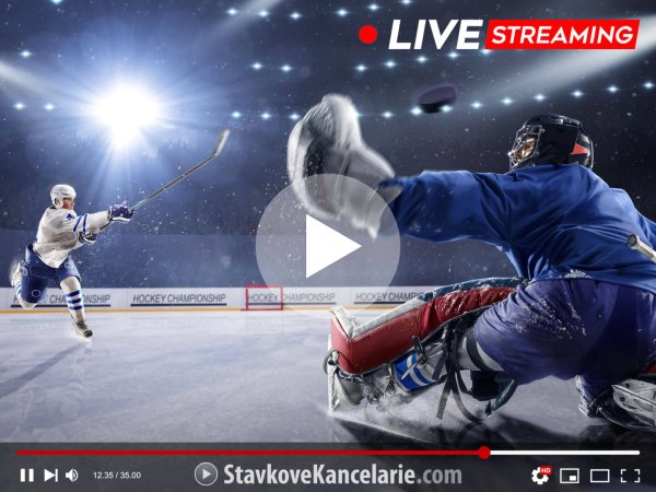 Kde sledovat hokej ŽIVĚ? Přímé přenosy v TV + online