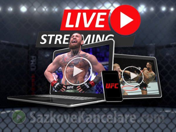 UFC 🔴 ŽIVĚ – stream zdarma, PPV online + MMA přenosy v TV