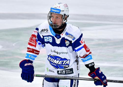 Český NHL hokejista Eduard Šalé