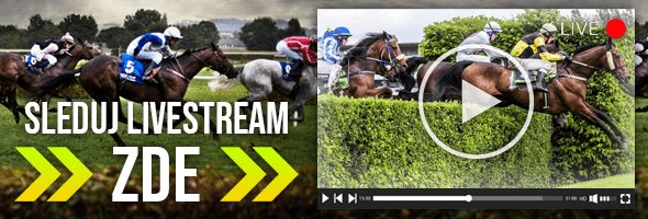 LIVE stream Velké pardubické na TV Tipsport