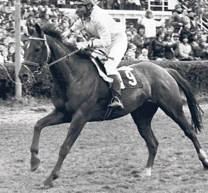 Největší šampion Velké pardubické kůň Železník s žokejem Josefem Váněm.