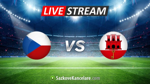 Vlajka České reprezentace na levé straně