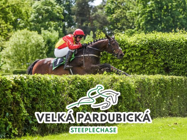 Velká pardubická 2023 – kurzy, program, výsledky a online přenos