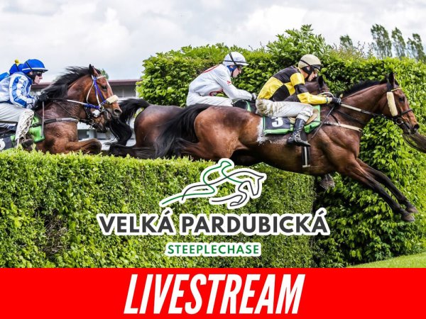 Velká pardubická 2023 LIVE stream ▶️ Jak sledovat závod online?