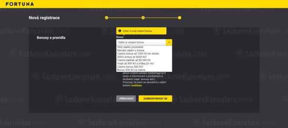 Nabídka bonusů v sázkové kanceláři Fortuna