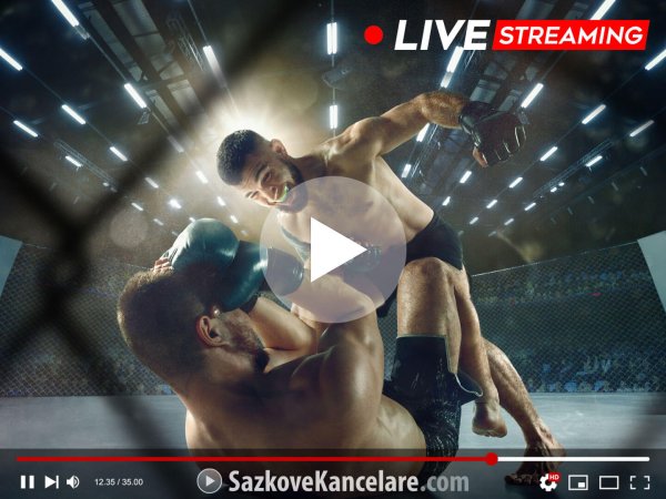 Kde sledovat MMA a BOX ŽIVĚ? Přímé přenosy v TV + online
