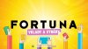 Fortuna vklady a výběry | karta, online převody, pobočka a kupony