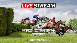 Velká pardubická 2025 LIVE ▶️ Kde sledovat online a v TV?