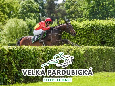 Velká pardubická 2023 – kurzy, program, výsledky a online přenos